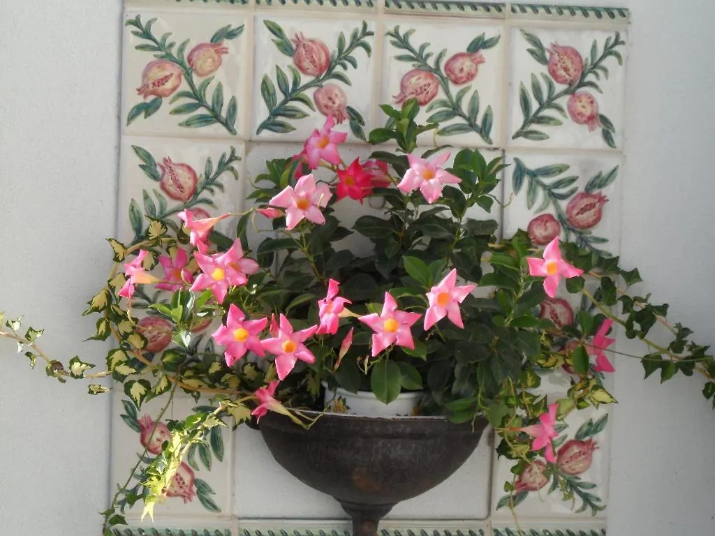 Villa Clivia Concordia Sagittaria 0*,
